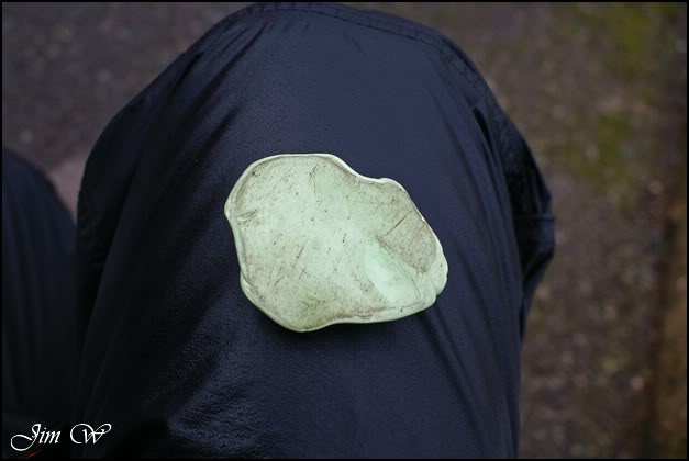 DSC00673wd.jpg DSC00673wd.jpg