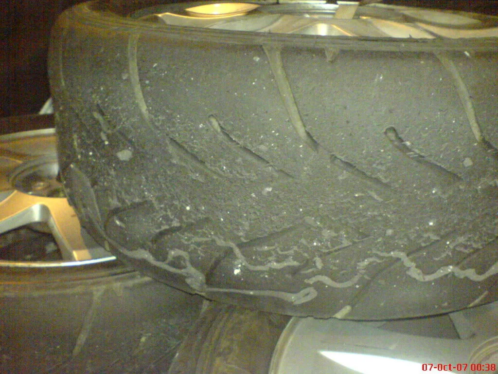 DSC00675.webp