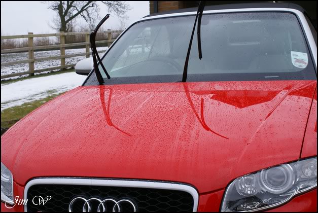 DSC00676wd.jpg DSC00676wd.jpg