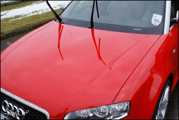 DSC00678wd.jpg DSC00678wd.jpg