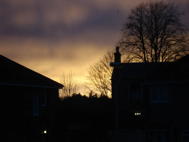 DSC00680.webp