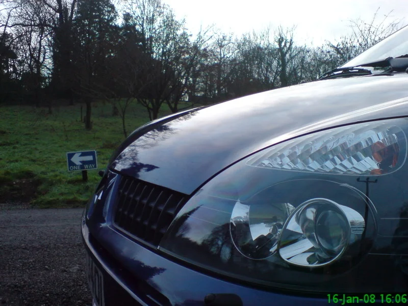 DSC00686.webp