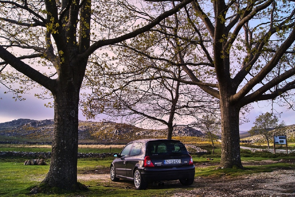 DSC00686_zpsrzflbhyw.jpg