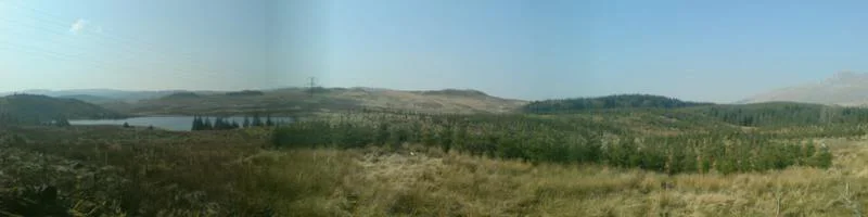 DSC00697.webp