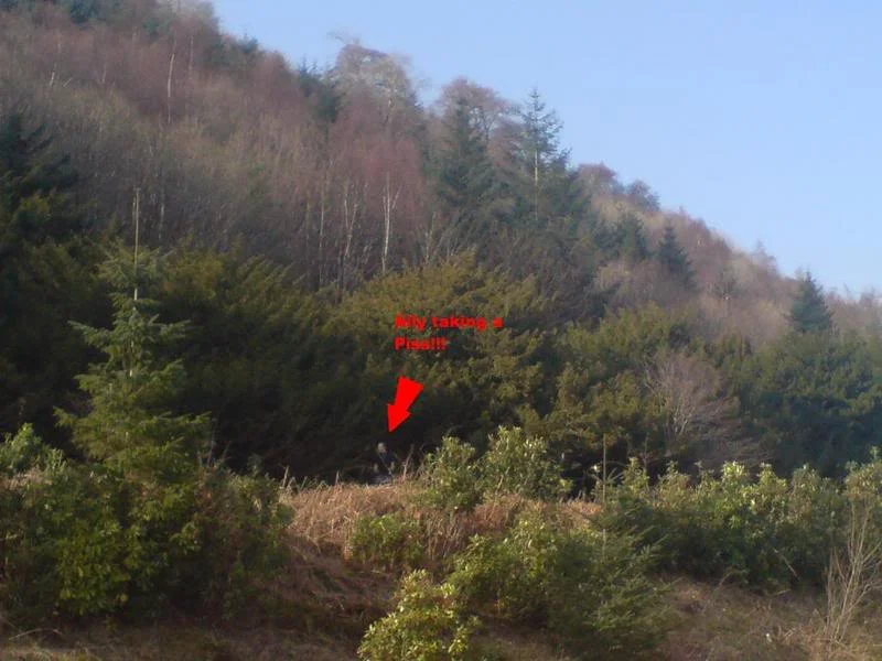 DSC00698.webp
