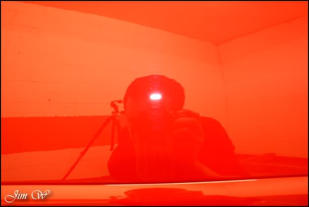 DSC00699wd.jpg DSC00699wd.jpg