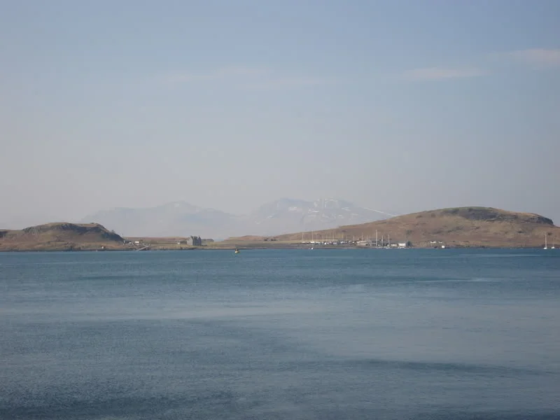 DSC00708.webp