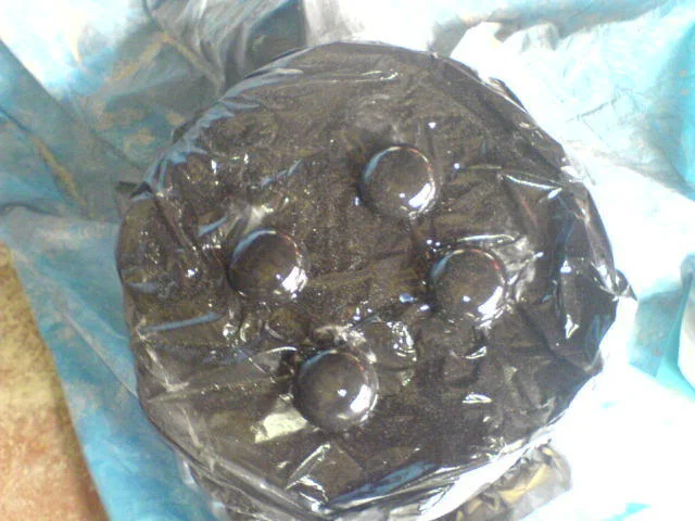 DSC00708.webp