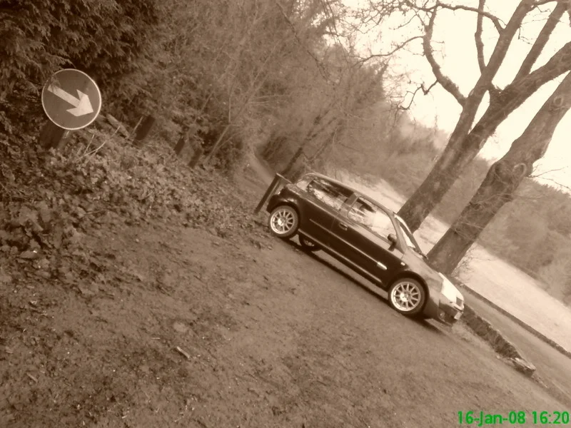 DSC00711.webp