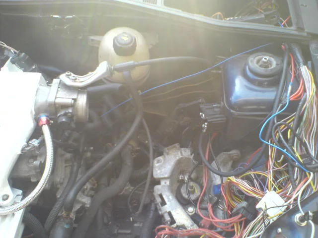 DSC00712.webp