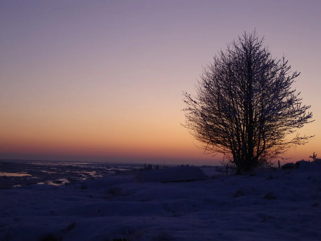 DSC00713.webp