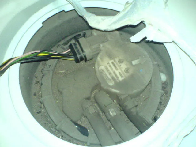 DSC00724.webp