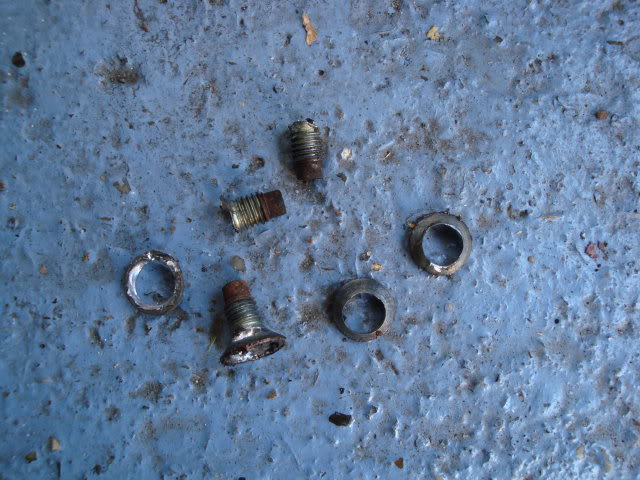 DSC00730-1.jpg