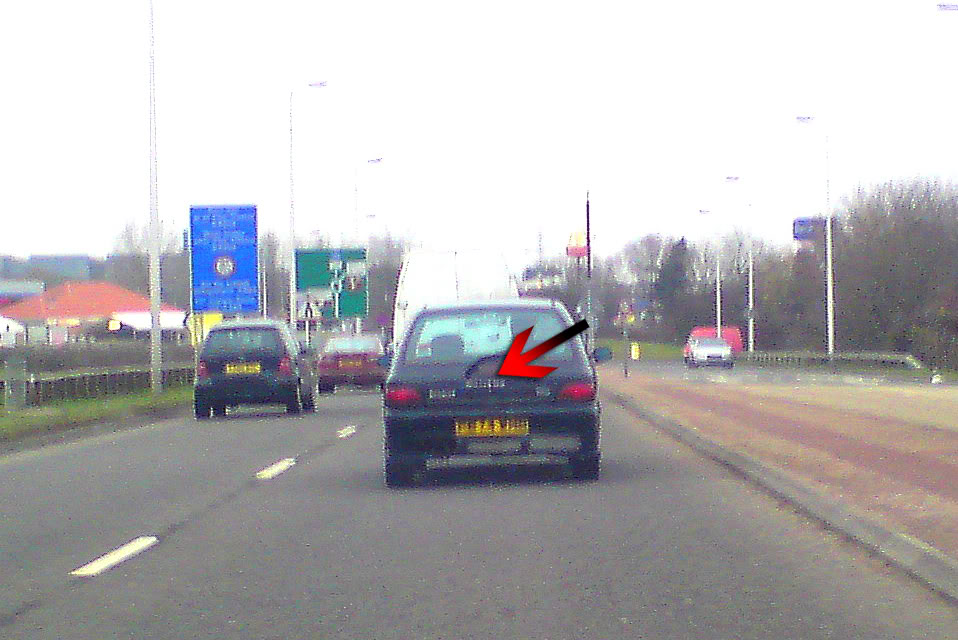 DSC00795.jpg