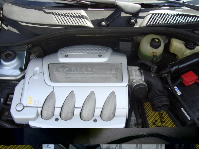 DSC00806.webp