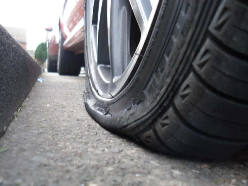 DSC00821.webp