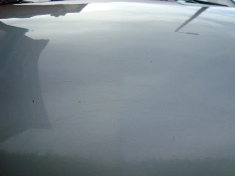 DSC00824.webp