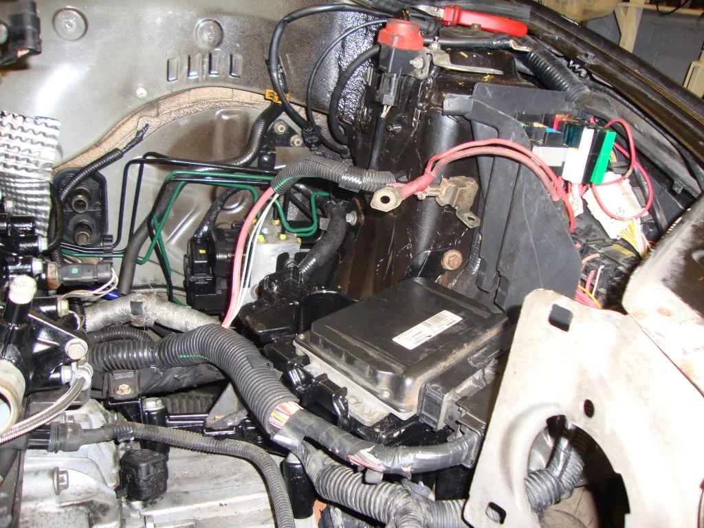 DSC00829.webp