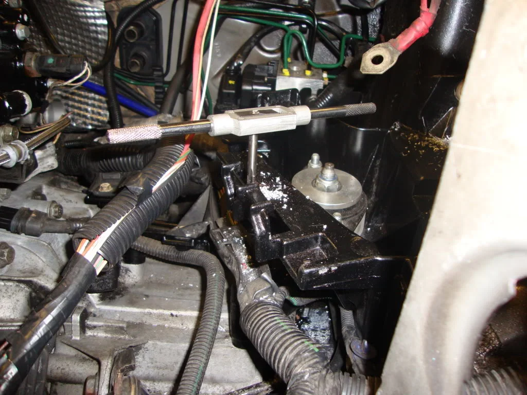 DSC00831.webp