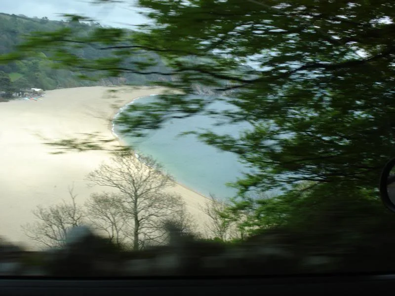 DSC00838.webp