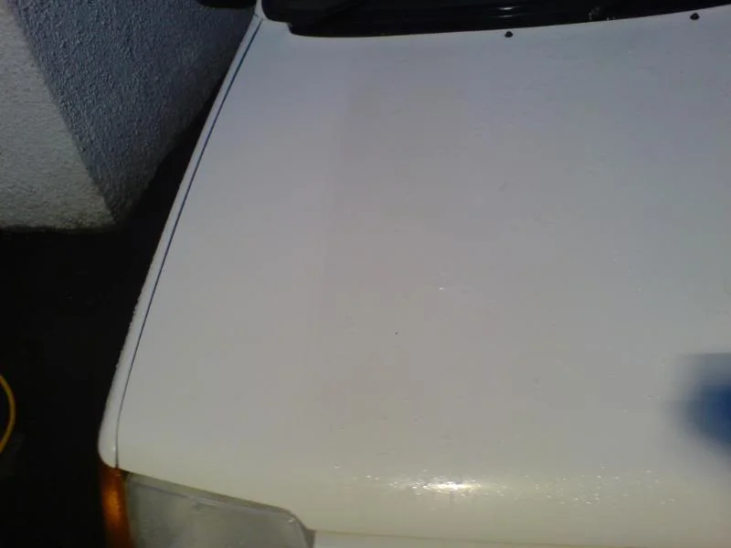 DSC00845.webp
