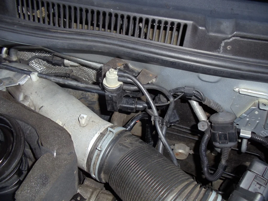 DSC00869.webp