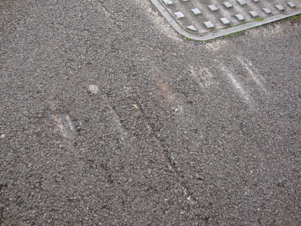 DSC00877.webp