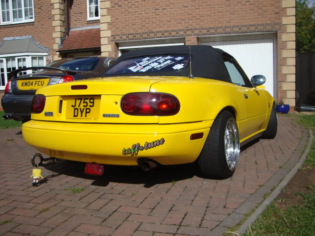 DSC00887.webp