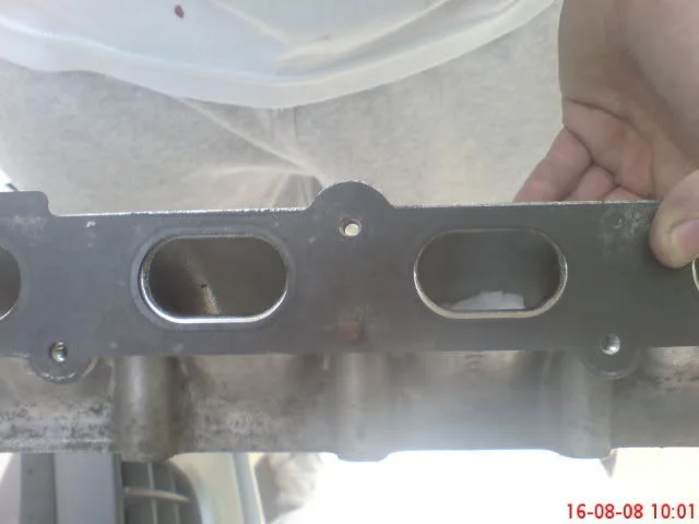 DSC00905.webp