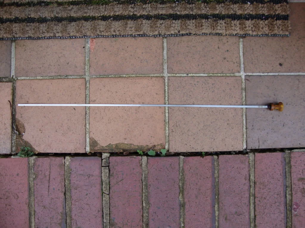 DSC00908.webp