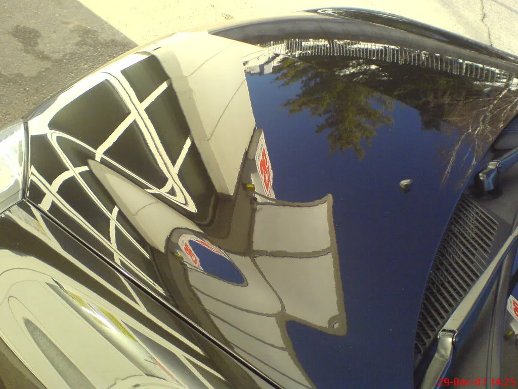 DSC00923-1.webp