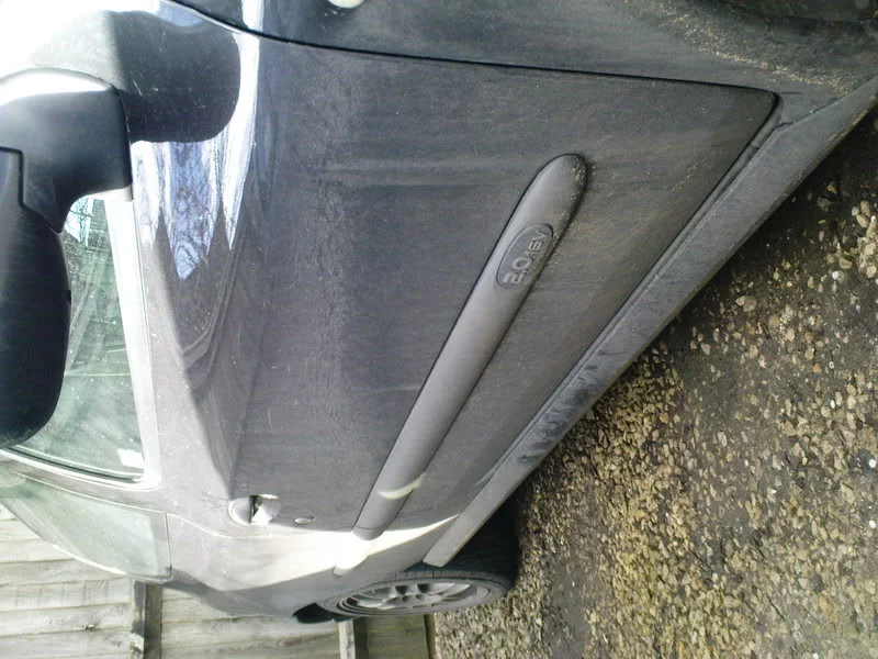 DSC00924.webp