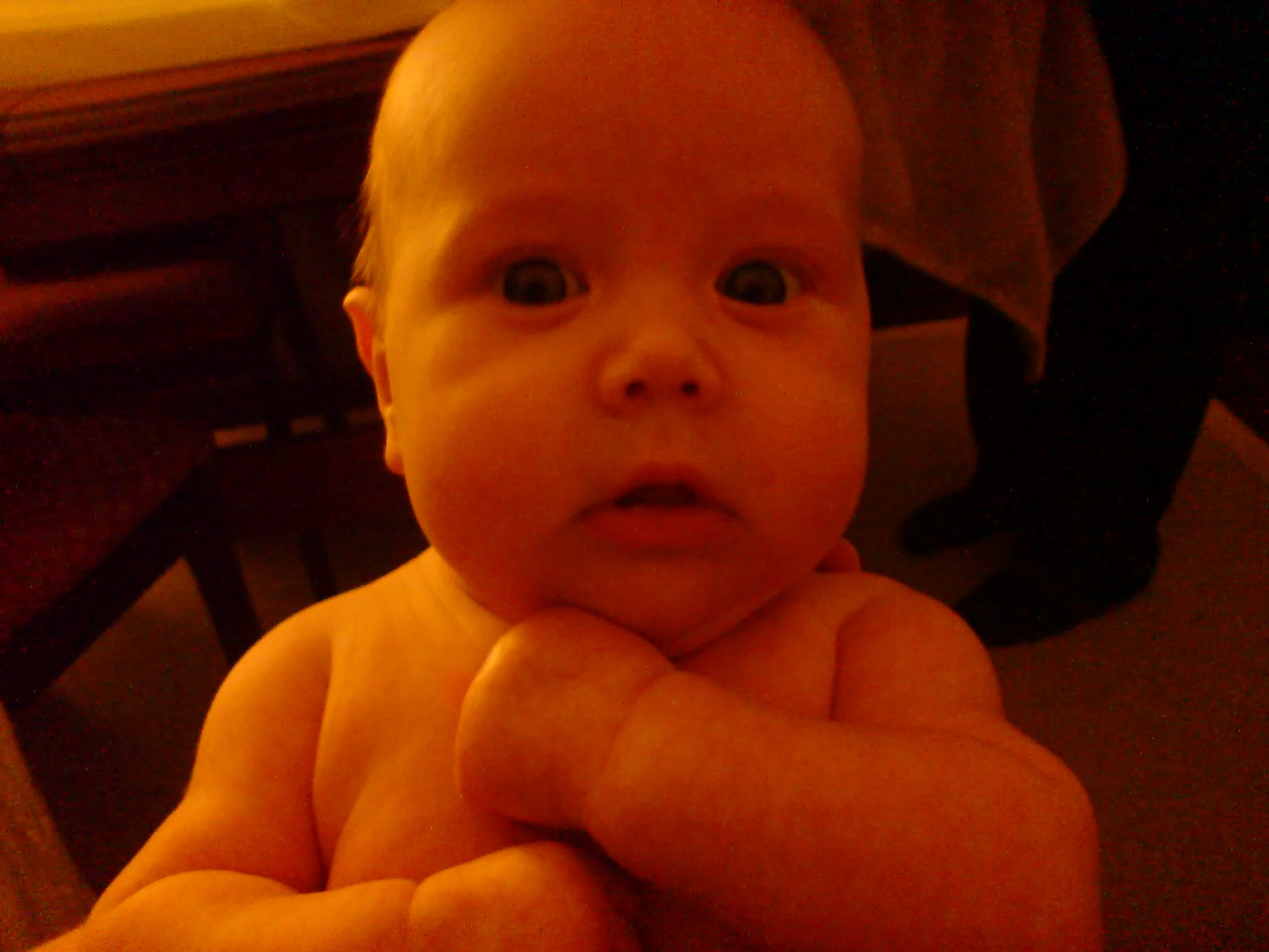 DSC00936.webp