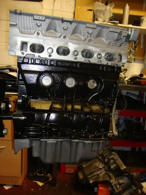 DSC00951.webp