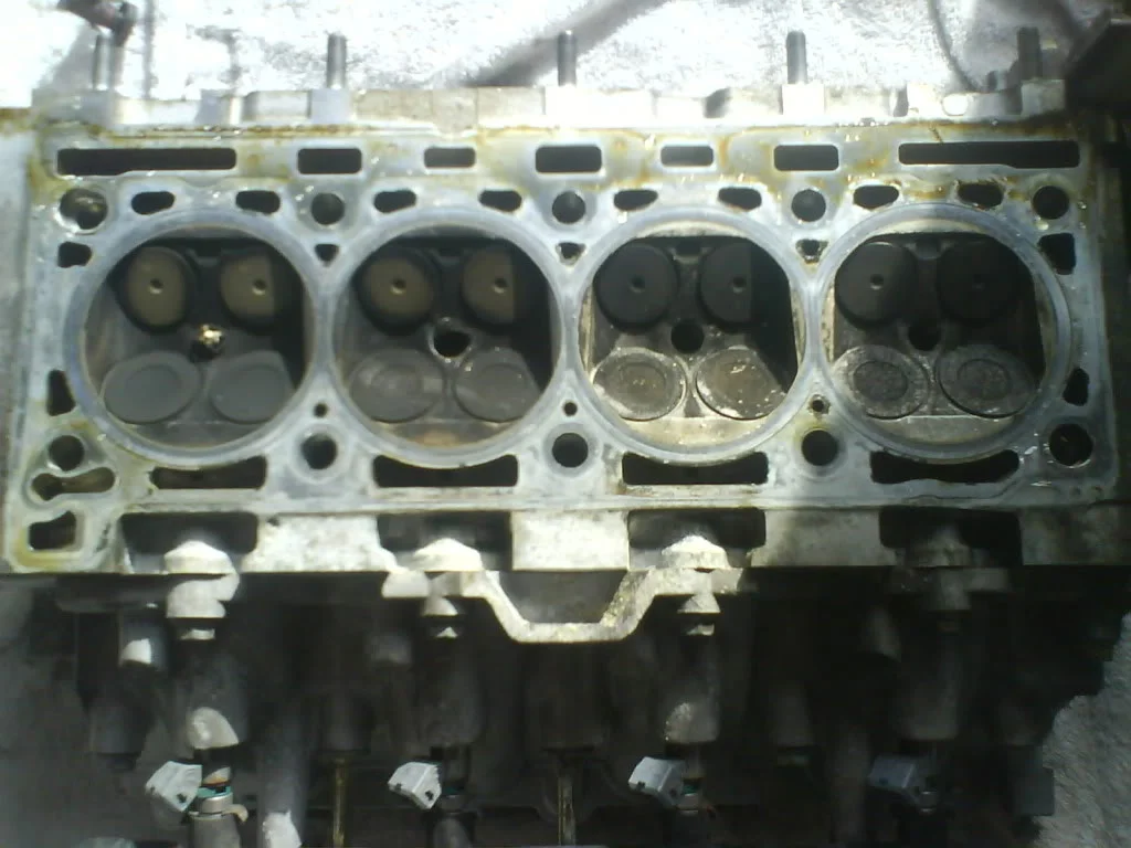 DSC00959.webp