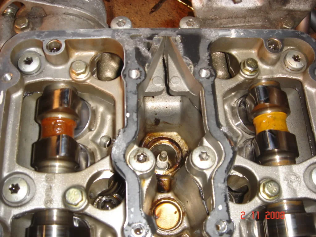 DSC00964.webp
