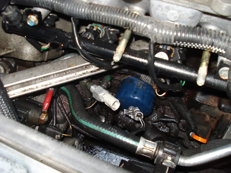 DSC00990.webp