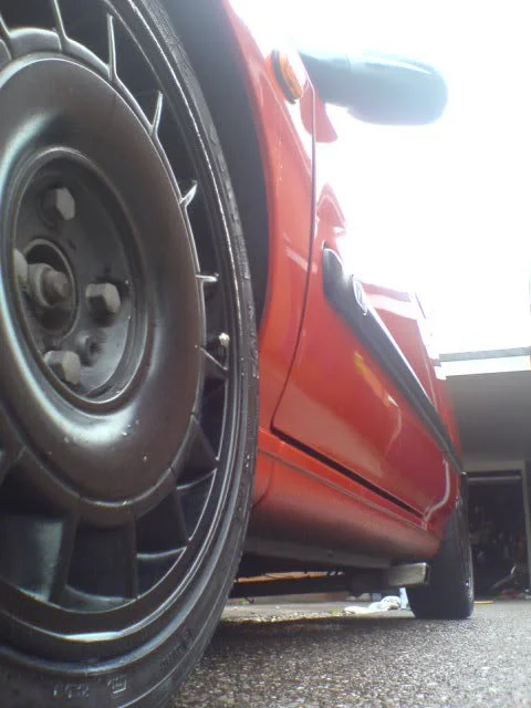 DSC00991.webp