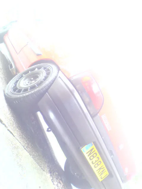 DSC01006.webp