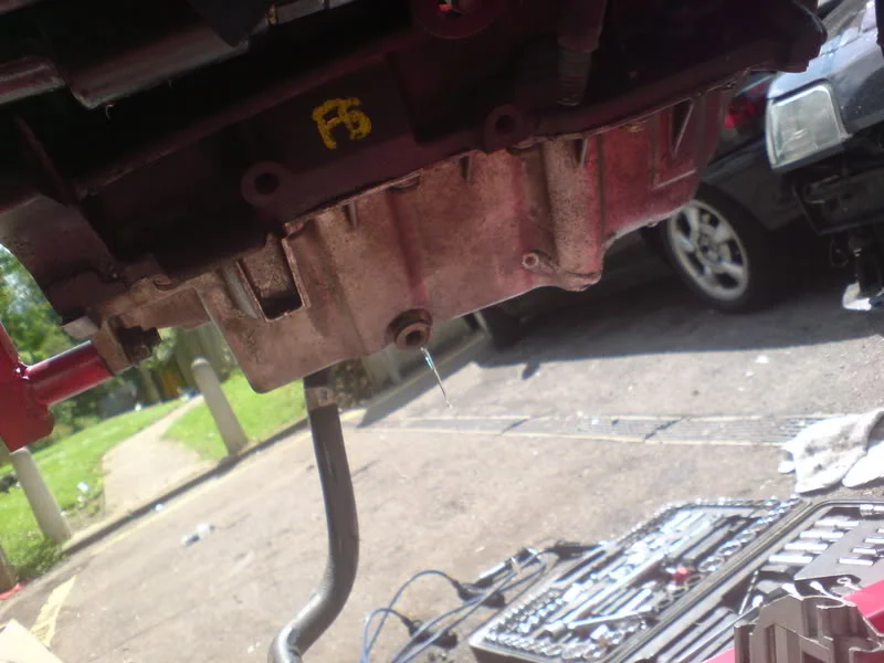 DSC01032.webp