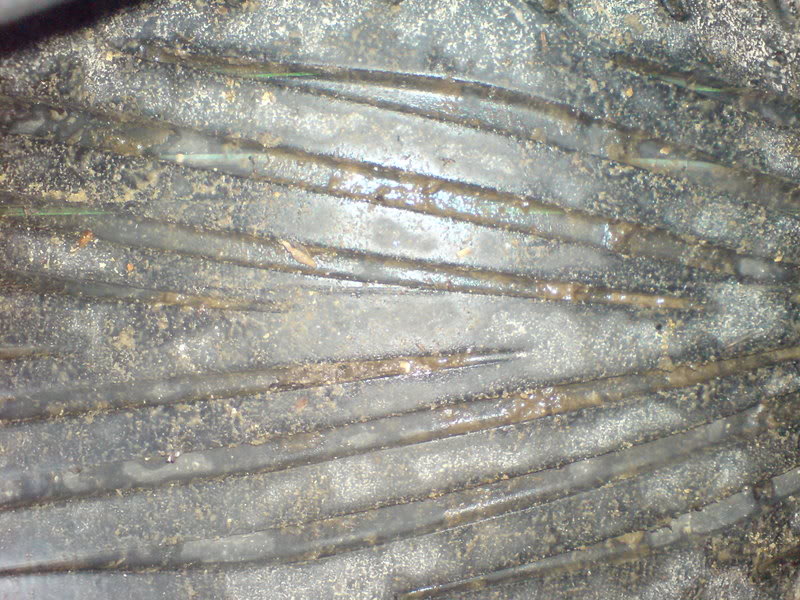 DSC01046.jpg