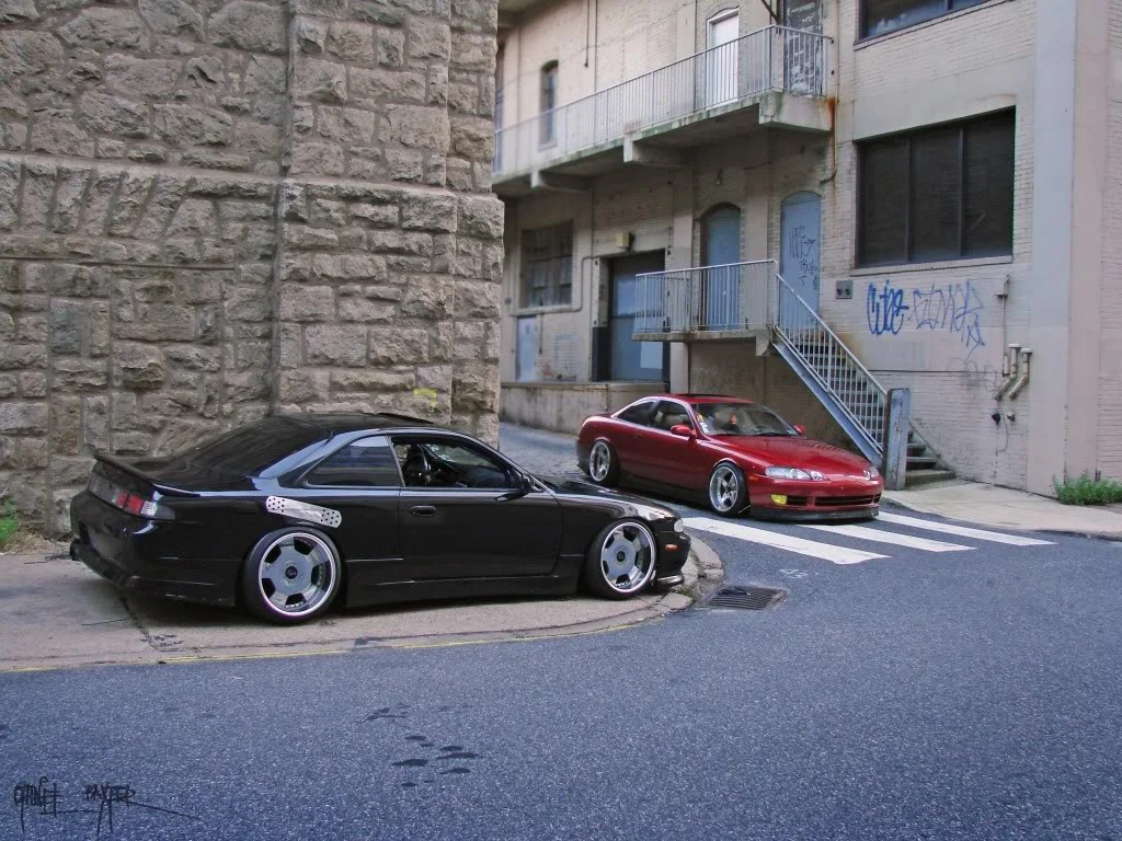 DSC01054-1.webp