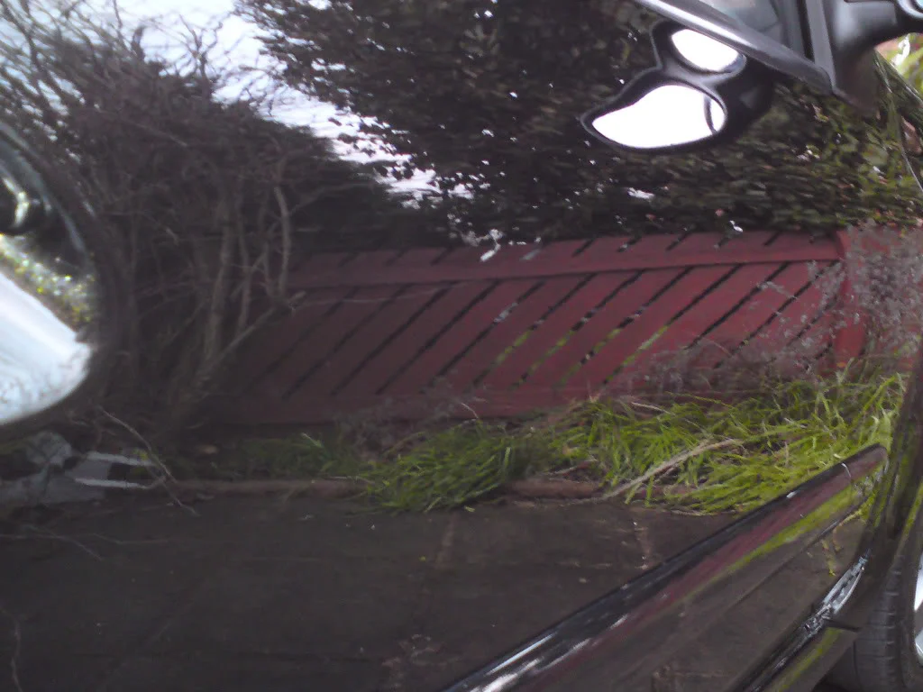 DSC01122.webp