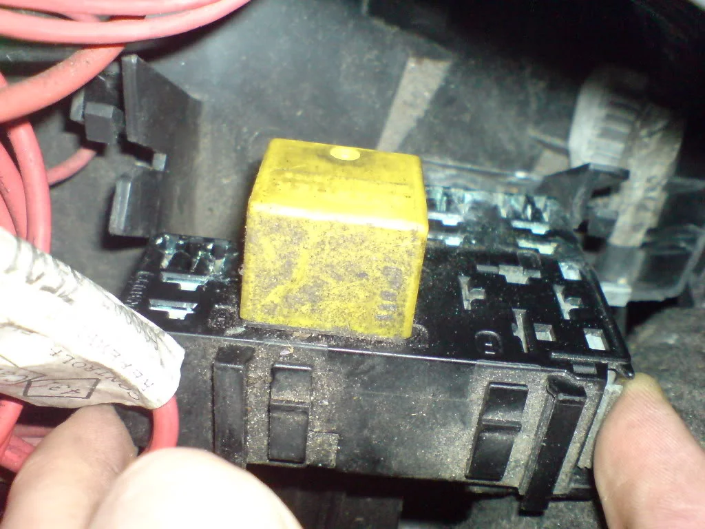 DSC01124.webp