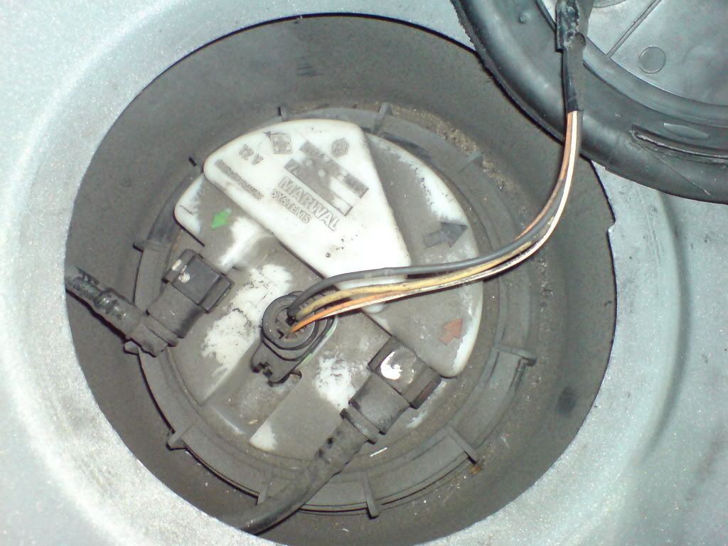 DSC01126.jpg