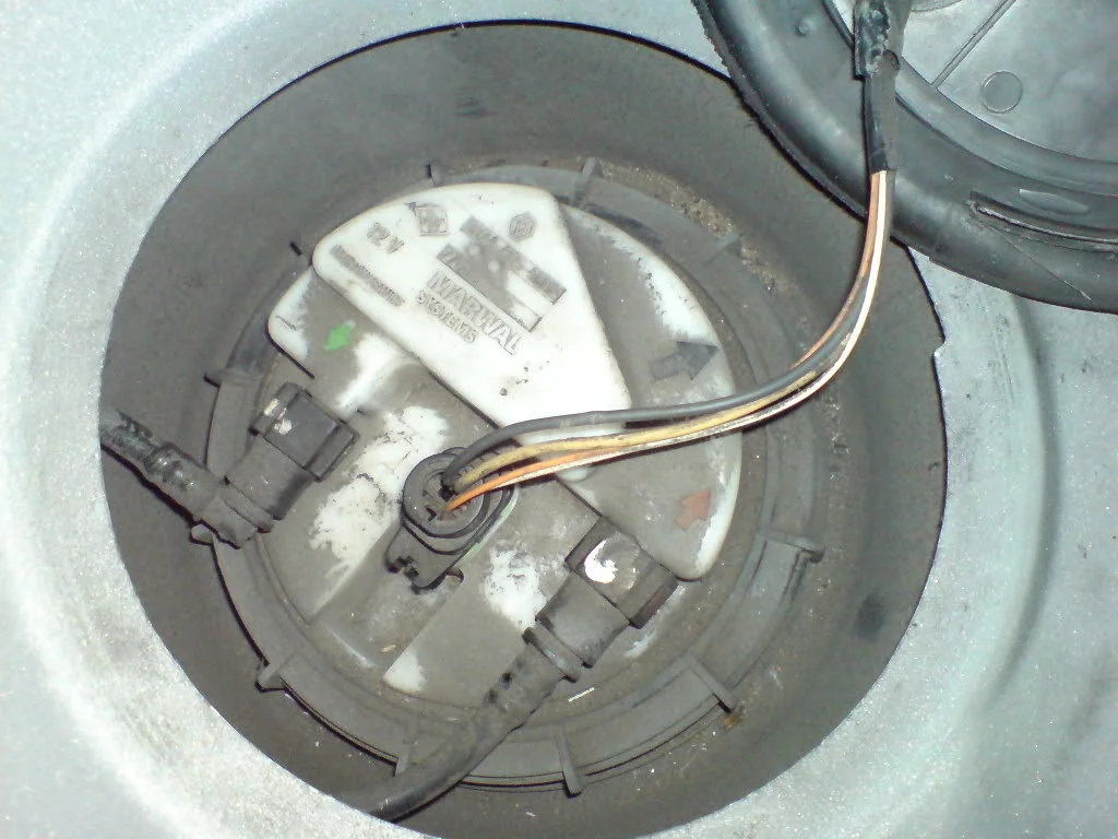 DSC01126.webp