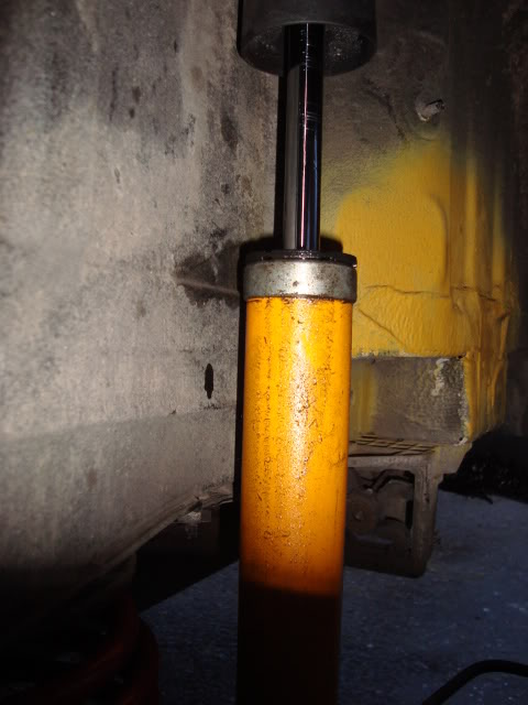 DSC01127.jpg