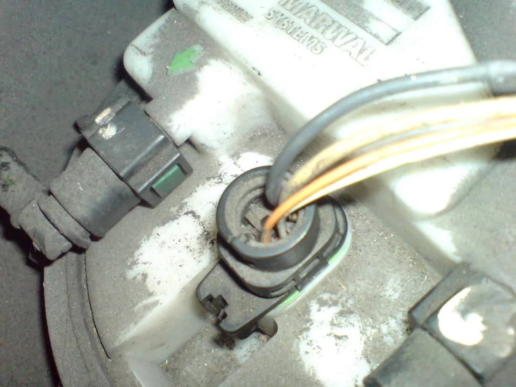 DSC01128.webp
