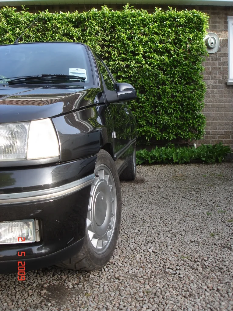DSC01140.webp