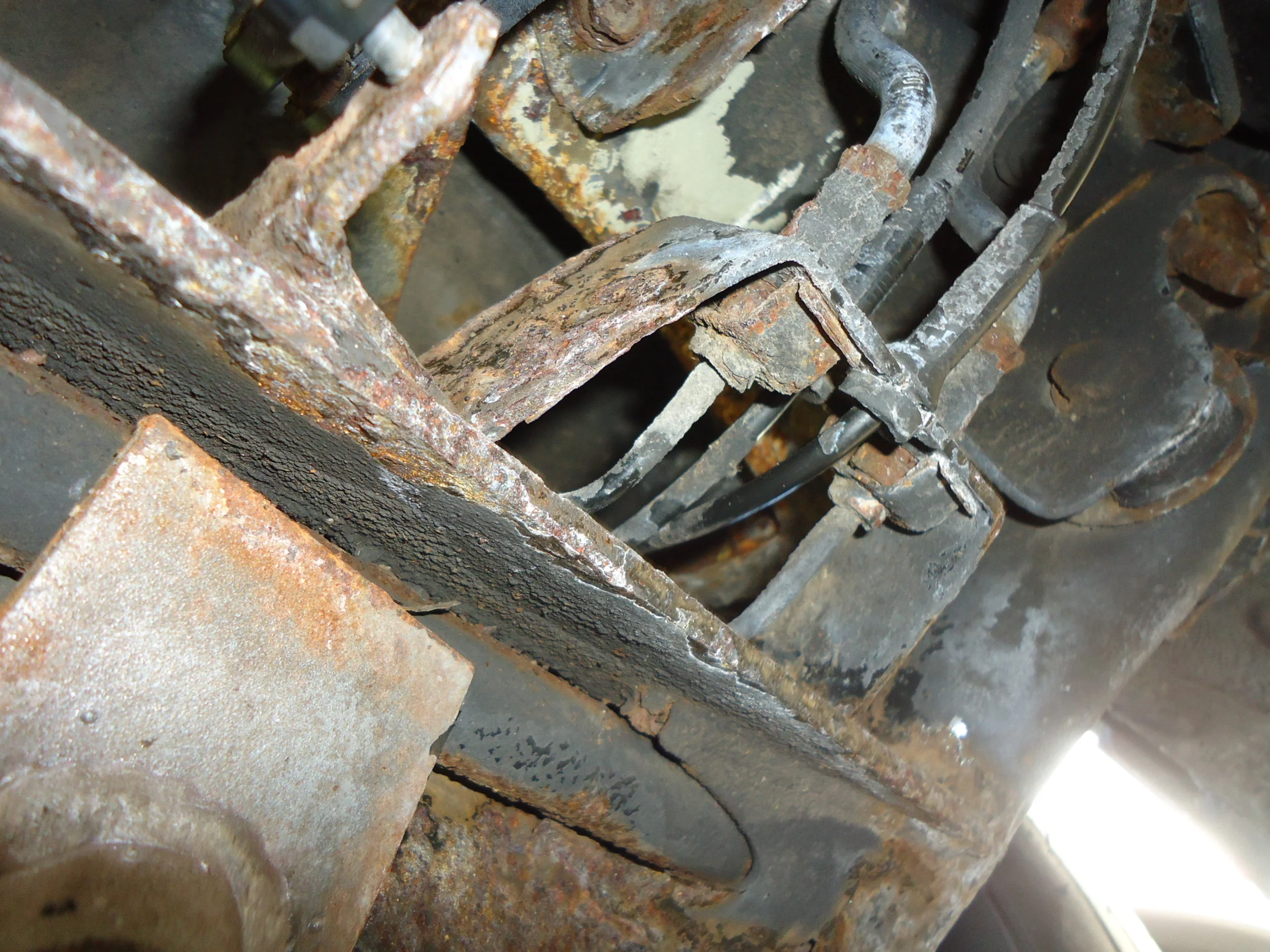DSC01165.webp